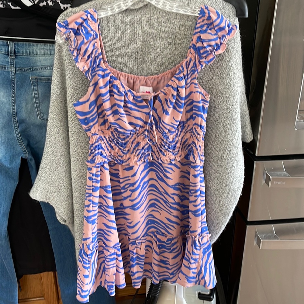 Buddy Love Dress Zebra Blue Pink Large